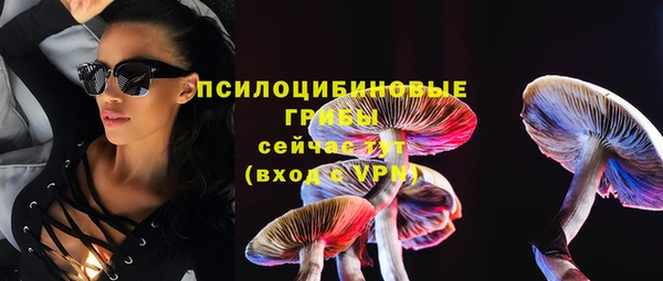 тгк Алексин