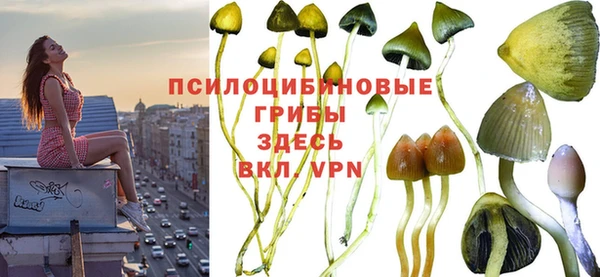 стафф Алзамай