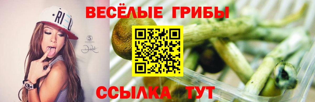 Галлюциногенные грибы мухоморы Владивосток